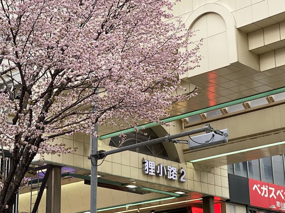 Shopping mall