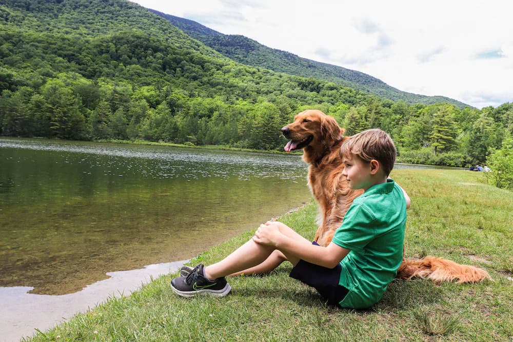 Pet-friendly amenities