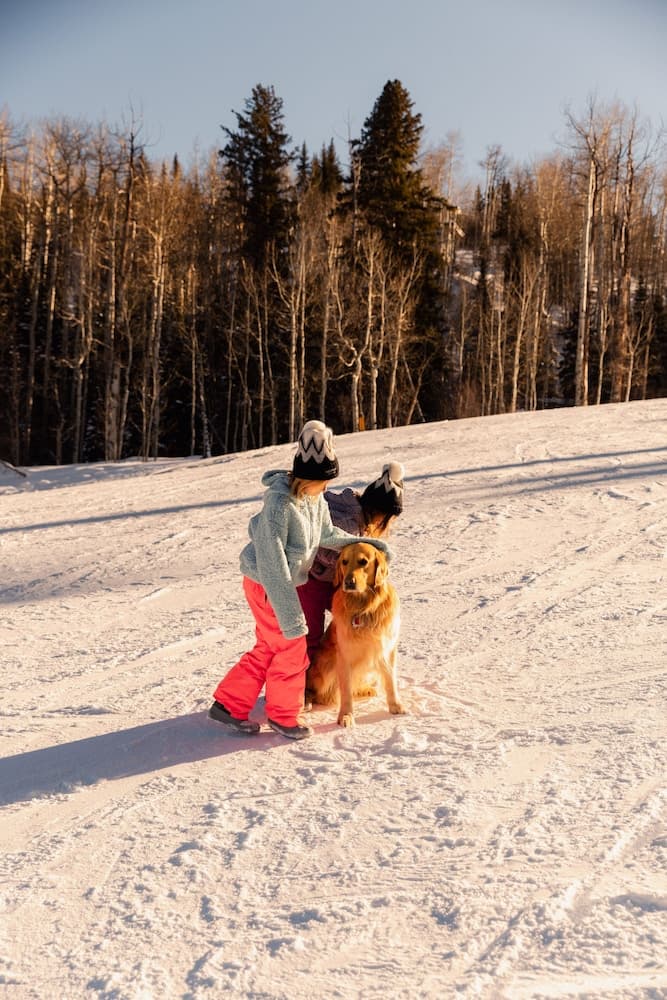 Pet-friendly