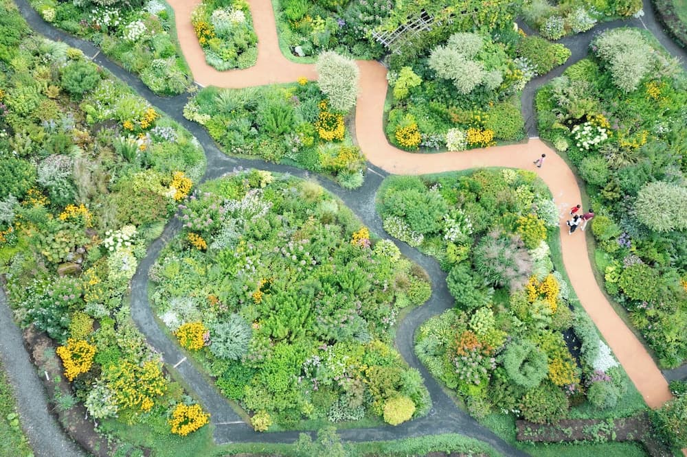 Japanese garden