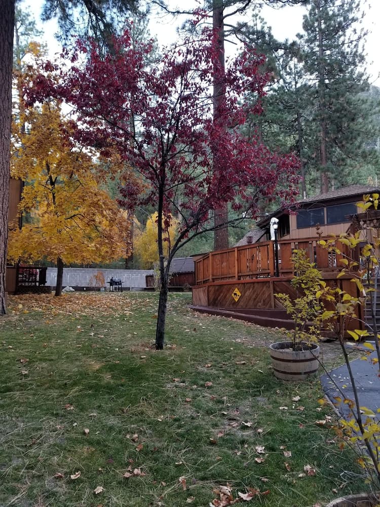 BBQ/picnic area