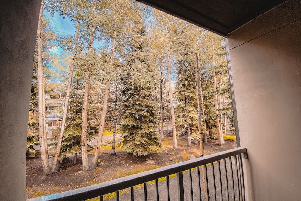 View from room