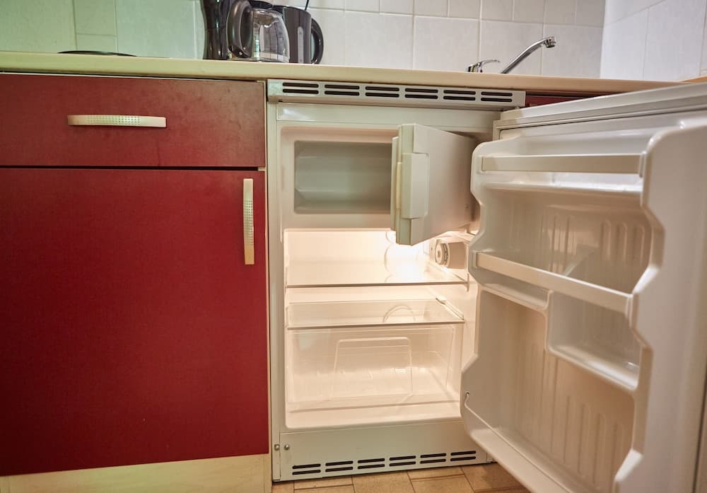 Mini-refrigerator