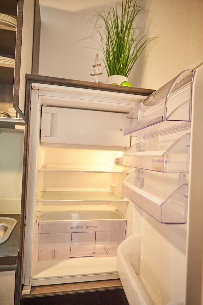 Mini-refrigerator