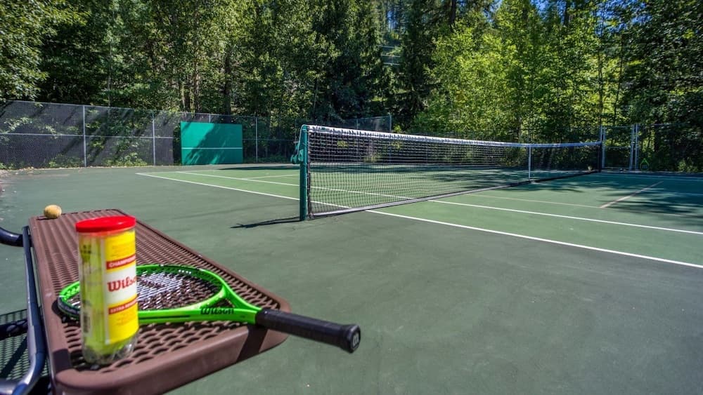Tennis court