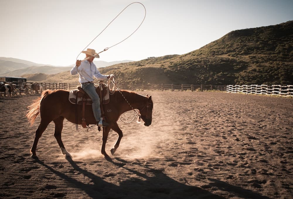 Horseback riding