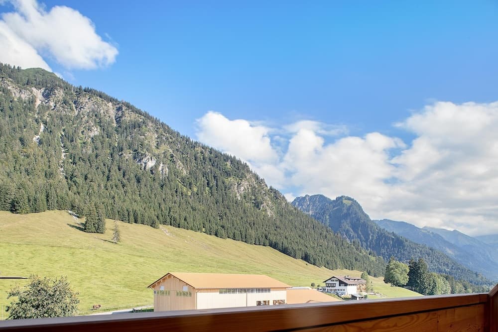 Mountain view
