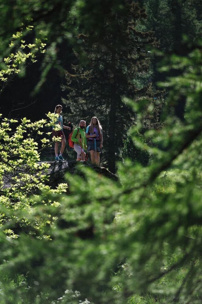 Hiking