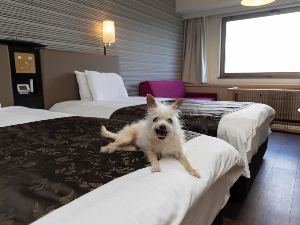 Pet-friendly