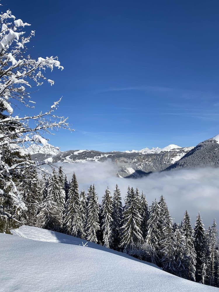 Snow and ski sports