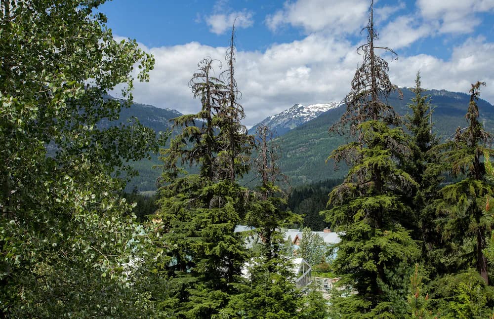 View from property