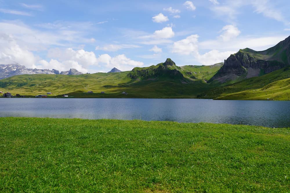Lake view