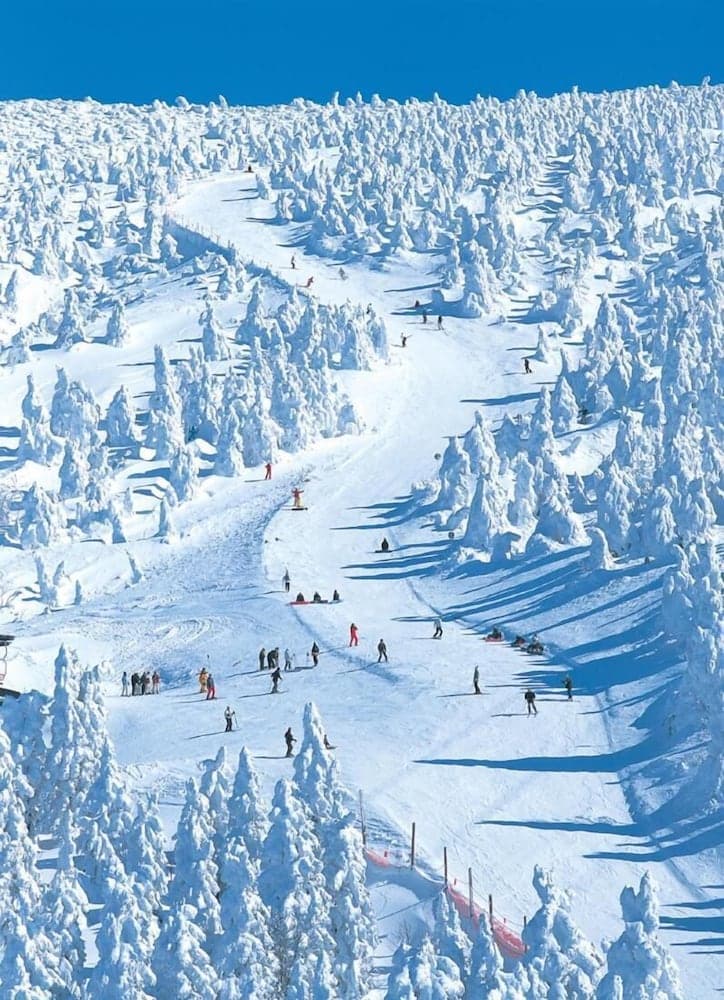 Snow and ski sports