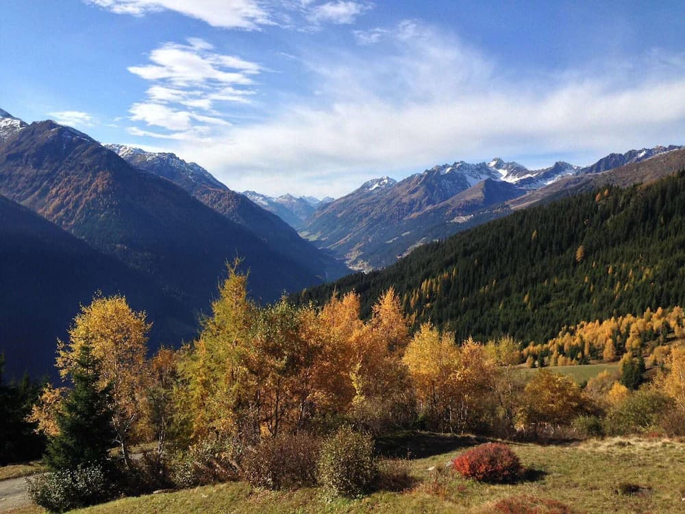 View from property