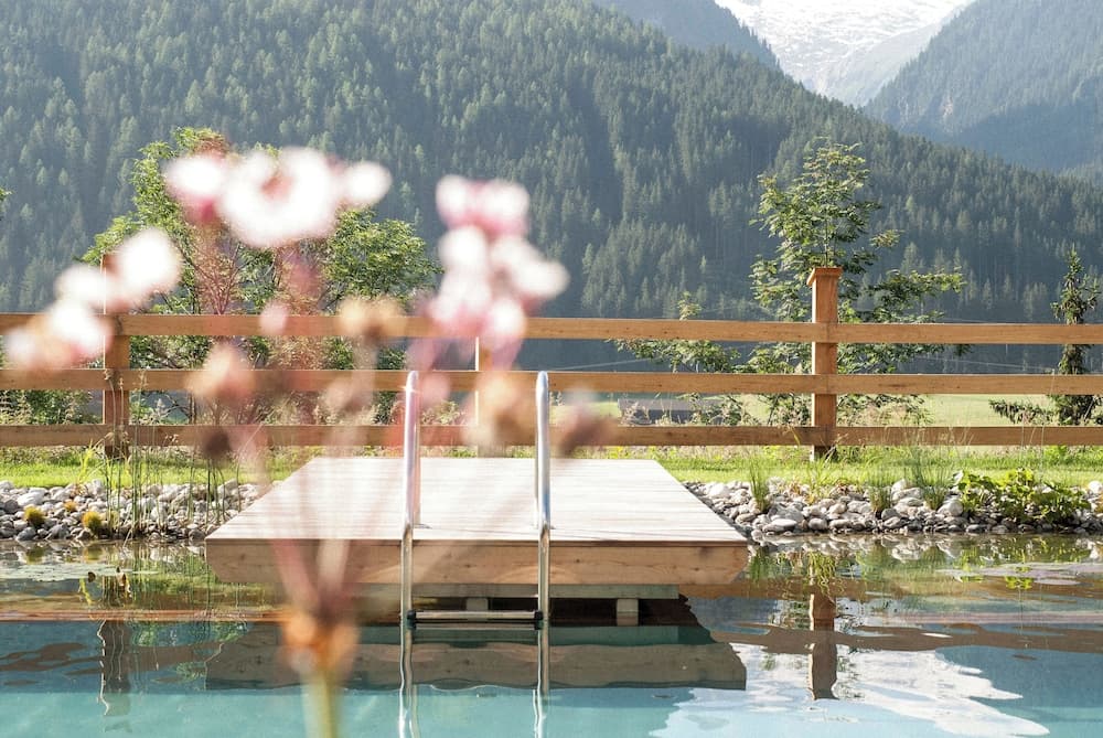 Natural pool