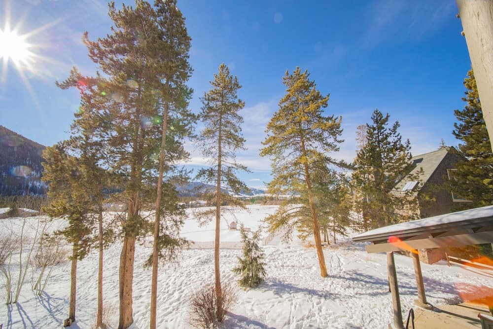 View from room