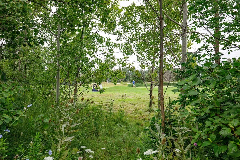 View from room