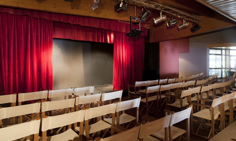 Theater show