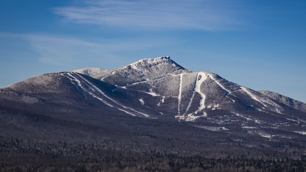 Primary image