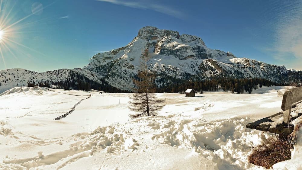 Snowshoeing