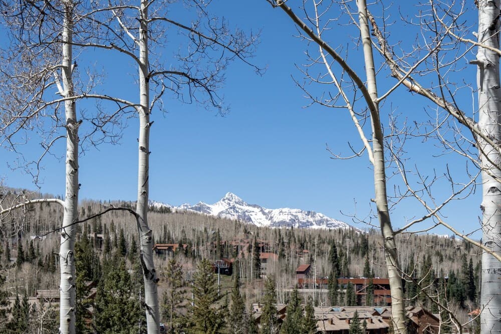Mountain view