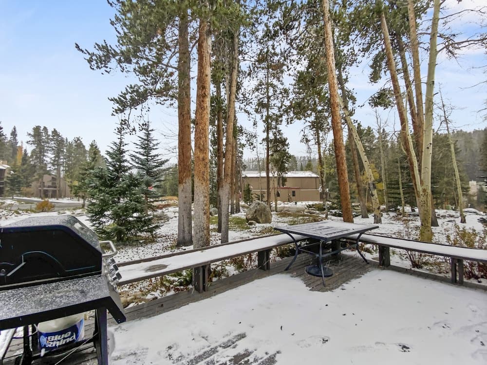 BBQ/picnic area