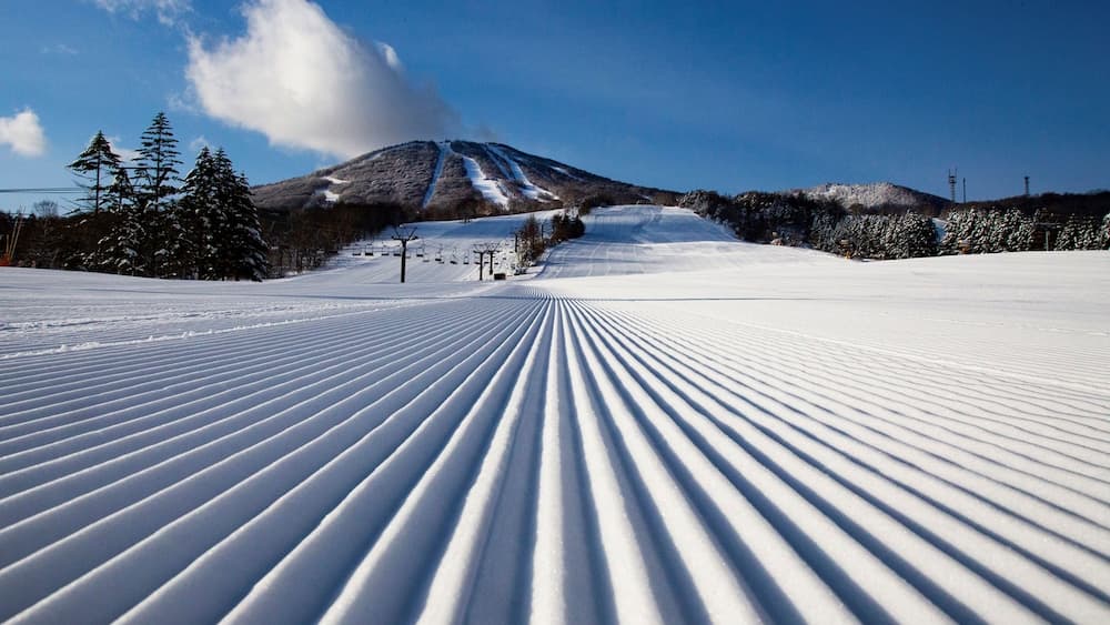 Skiing