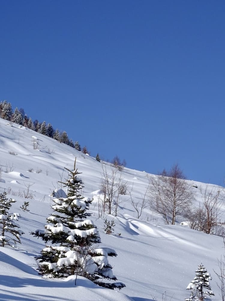 Snowshoeing