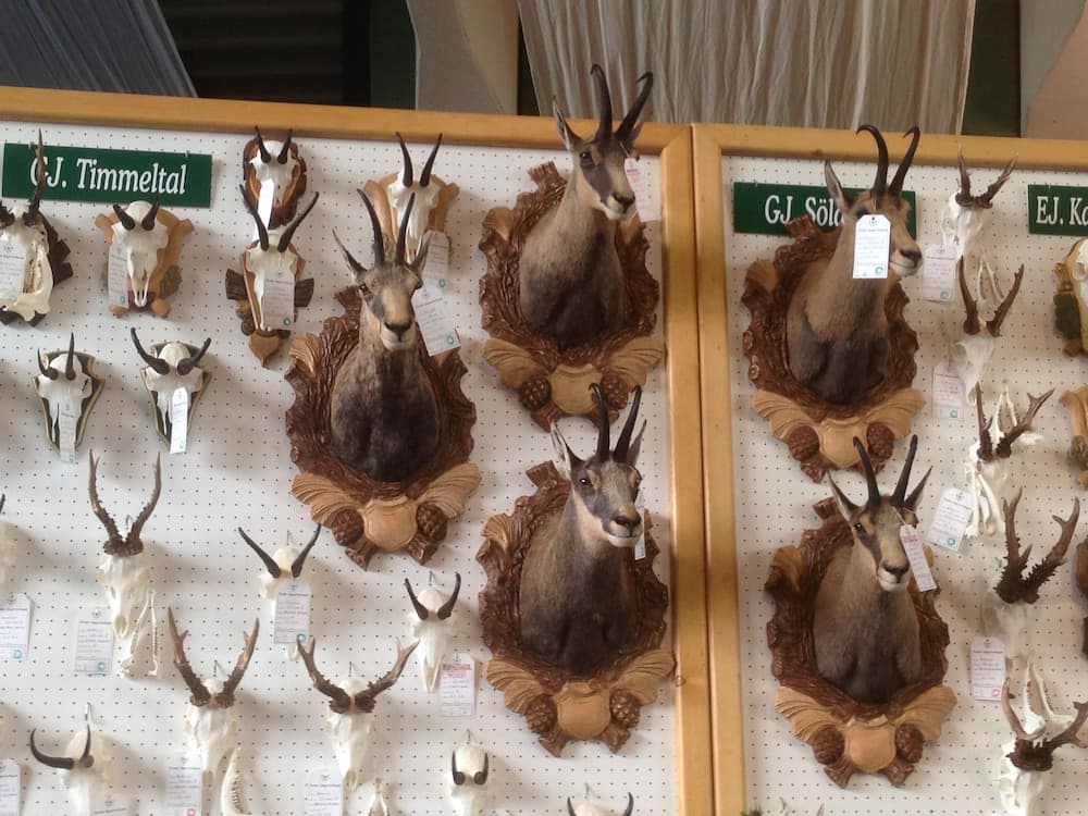 Hunting