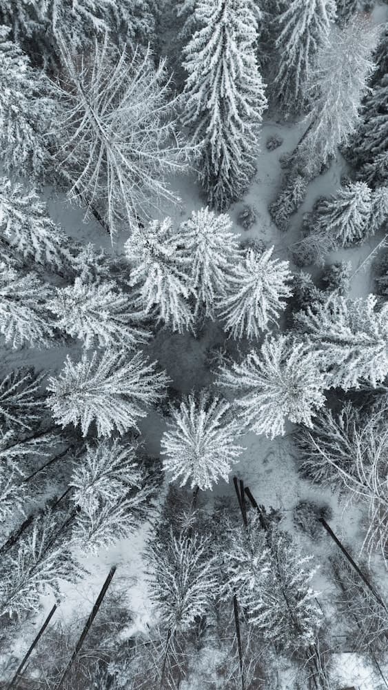 Land view from property