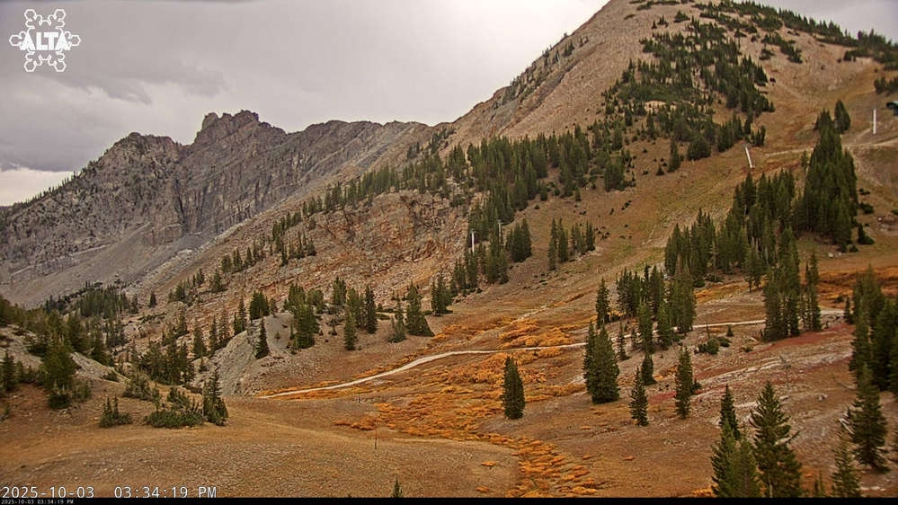 Alta Ski Area - Sugarloaf Peak Mountain webcam