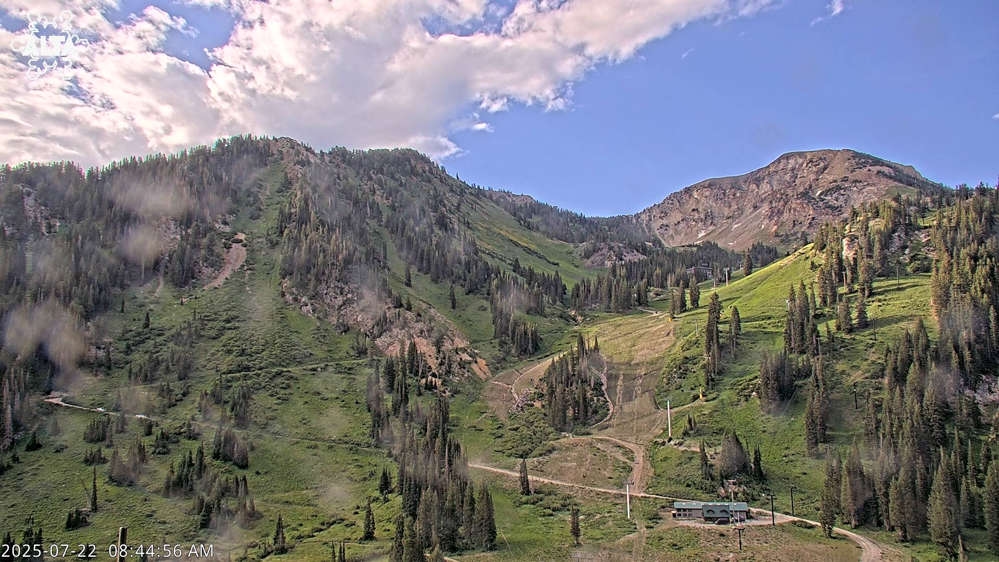 Alta Ski Area - High Rustler Mountain webcam