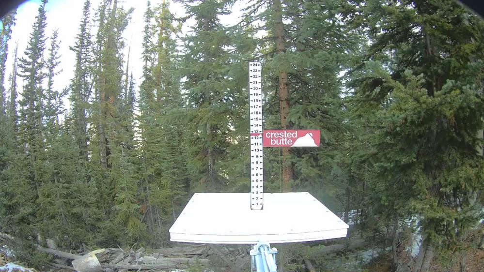 Official Snow Stake