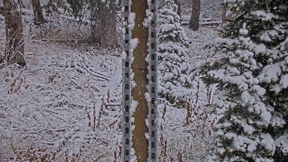 Snow Stake Webcam