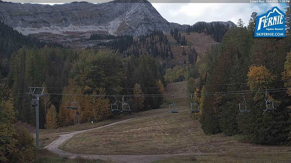 Fernie: Lizard View from Great Bear
