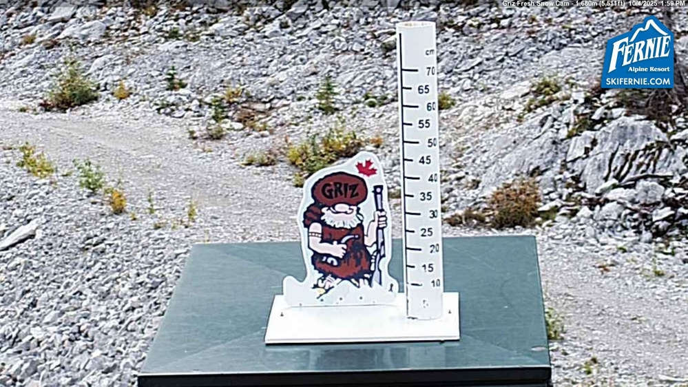 Fernie: Griz Fresh Snow Cam
