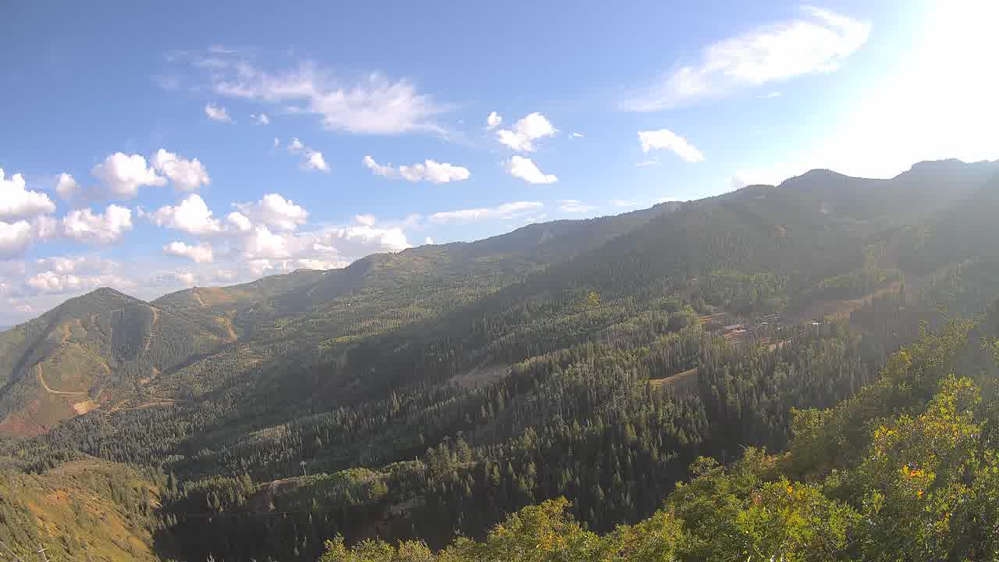 Lookout Cabin Camera