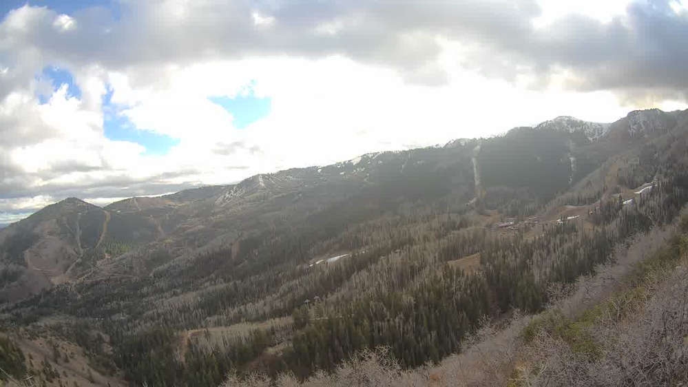 Lookout Cabin Camera