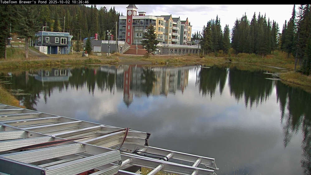 Silver Star Brewer's Pond Webcam