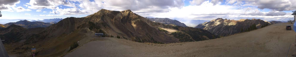 Snowbird