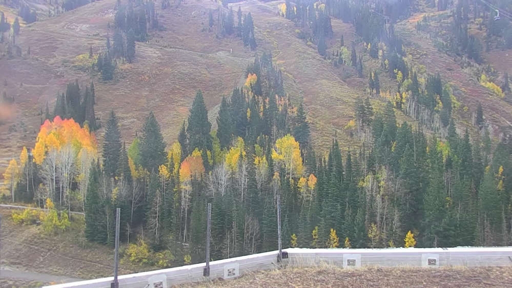The Cliff Lodge Webcam