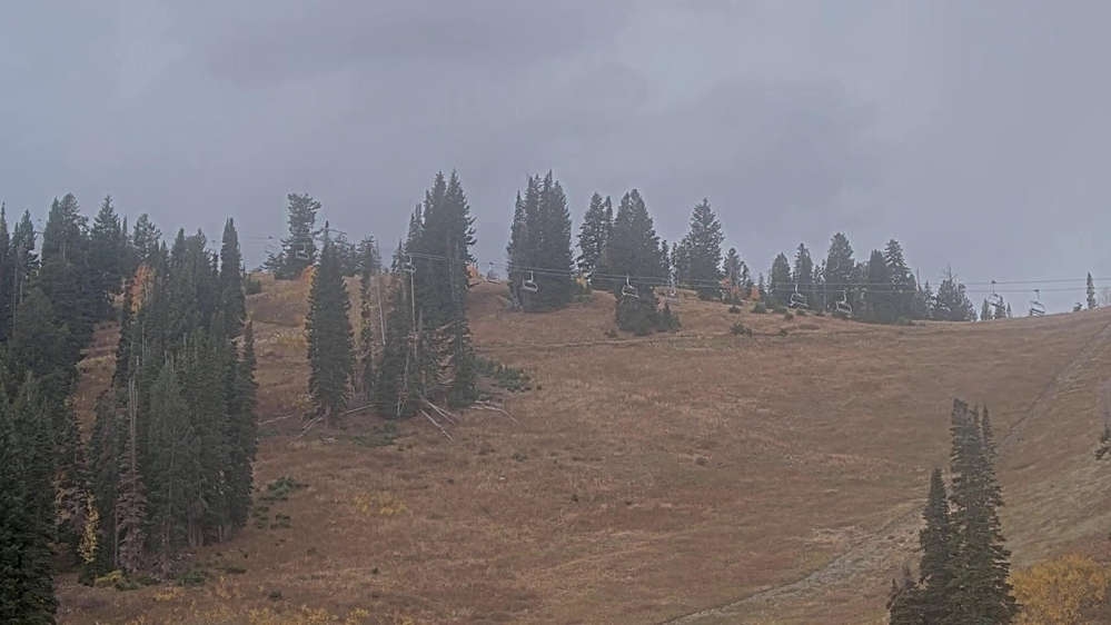 Solitude: Sunshine Bowl Cam