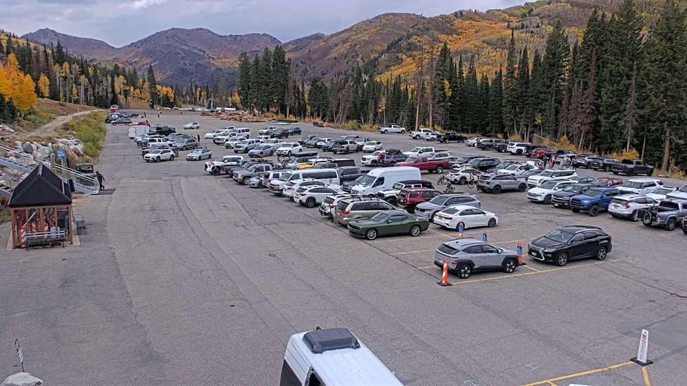 Solitude: Moonbeam Parking Lot Cam