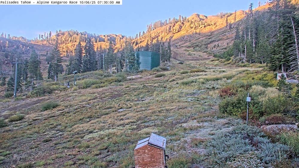 Alpine Race Cam