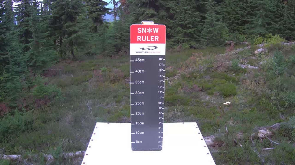 Whistler Snow Stake