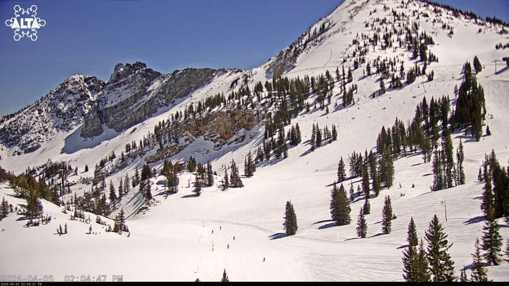 Alta Ski Area - Sugarloaf Peak Mountain webcam
