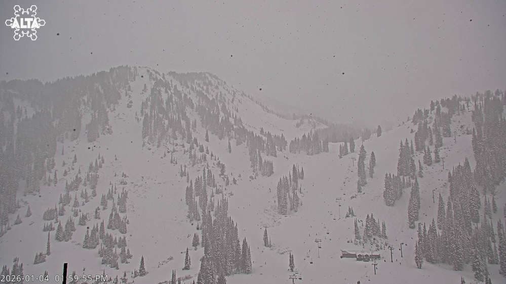 Alta Ski Area - High Rustler Mountain webcam