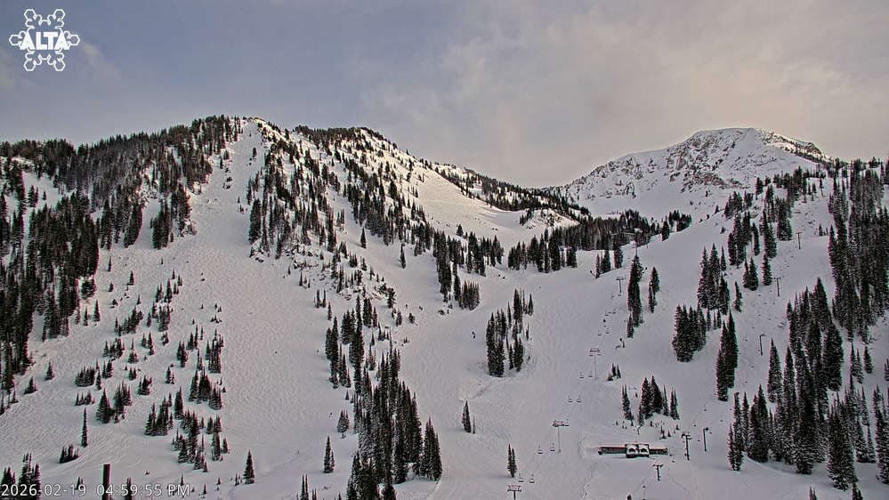 Alta Ski Area - High Rustler Mountain webcam