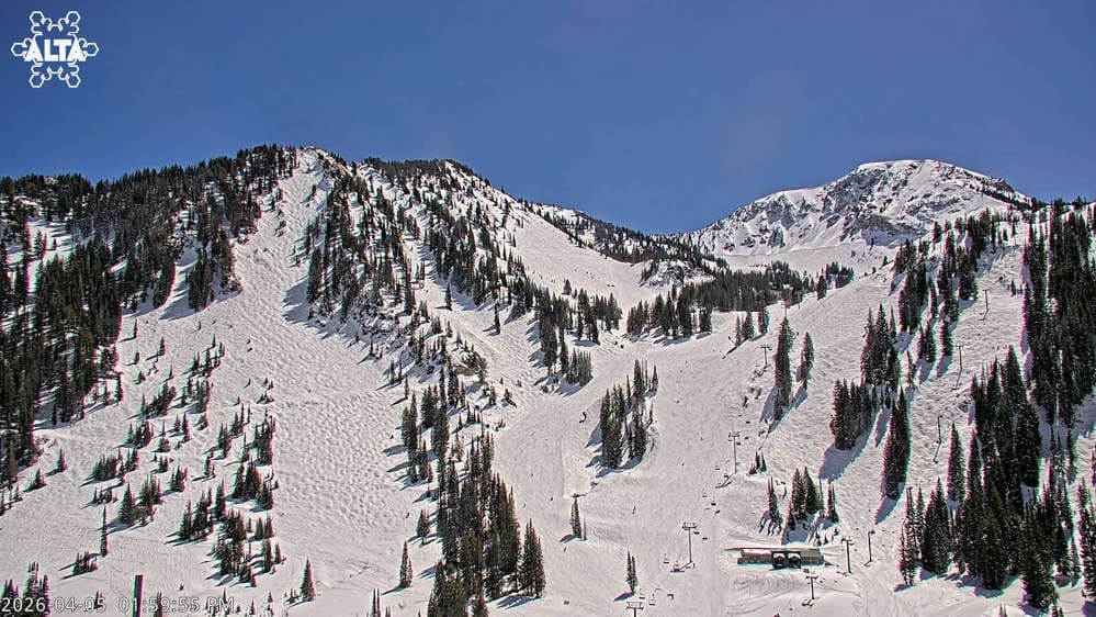 Alta Ski Area - High Rustler Mountain webcam