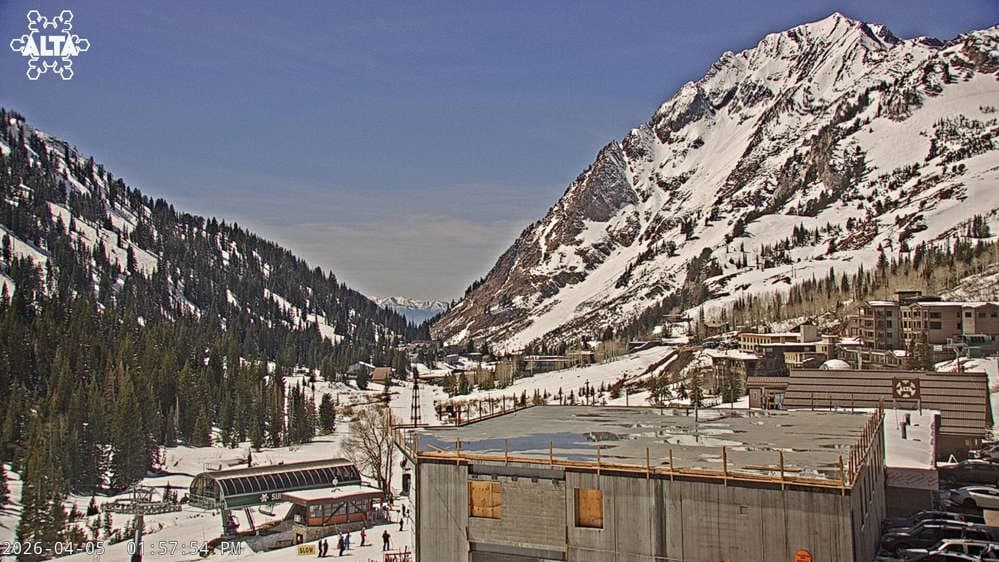 Alta Ski Area - Mount Superior Mountain webcam